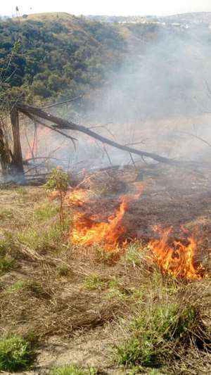 (foto: Corpo de Bombeiros/Divulgação) (foto: Corpo de Bombeiros/Divulgação)