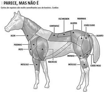 Carne de cavalo é permitida no Brasil? Faz mal? Tire dúvidas