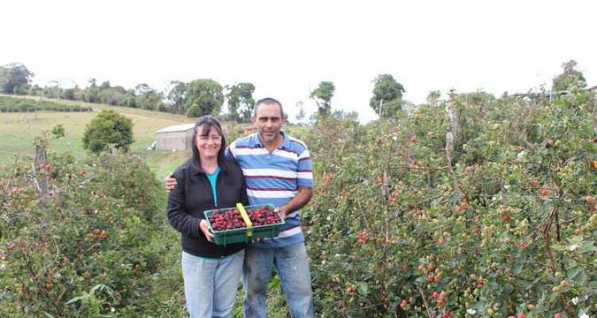 Rosana Lago e Luiz Antônio ganham mais com as geleias de frutas(foto: Arquivo pessoal) Rosana Lago e Luiz Antônio ganham mais com as geleias de frutas(foto: Arquivo pessoal)