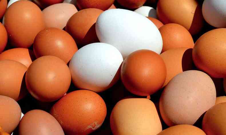 Foto mostra ovos de galinha 