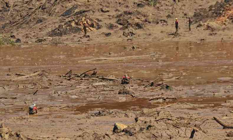 Em meio  lama, socorristas fazem buscar por vtimas das tragdia de Brumadinho. Mais de 200 pessoas ainda esto desaparecidas (foto: Juarez Rodrigues/EM/D.A Press)
