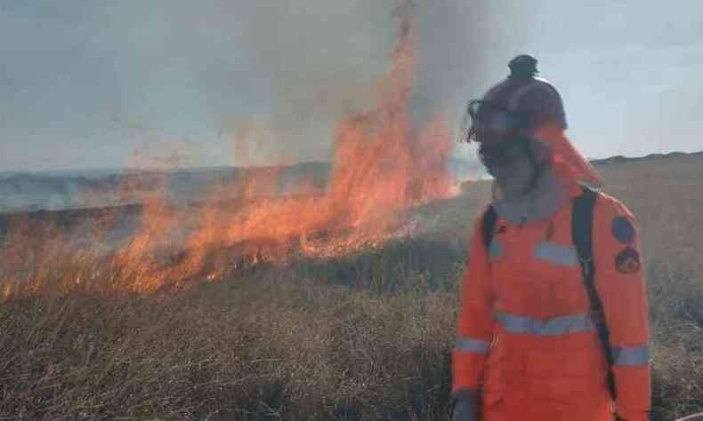 O fogo devastou uma rea de 208 hectares(foto: Corpo de Bombeiros/ Divulgao)