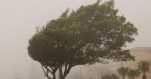 Ciclone extratropical: entenda fenômeno que causou mortes e alerta vermelho no rs