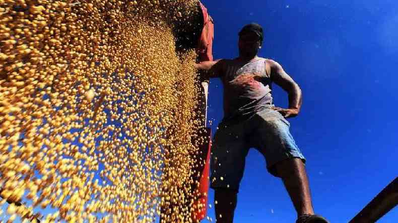 Homem trabalhando na colheita de soja em Salto do Jacu, Rio Grande do Sul