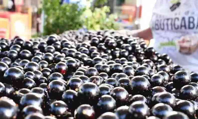 Jabuticaba