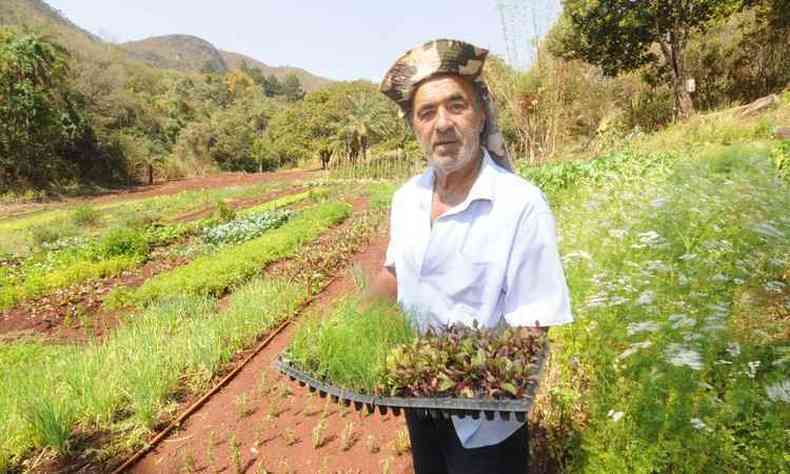 O produtor Antnio Borges exibe a produo cultivada sem pesticidas(foto: Beto Novaes. D. A. Press.)