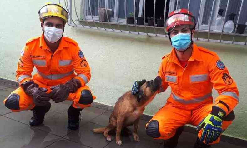 Corpo de Bombeiros foi acionado para o resgate da cadela(foto: CBMMG/divulgao)
