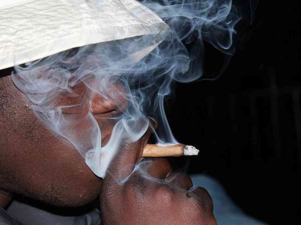 Fumantes passivos: provam que os cachimbos de cannabis emitem quatro vezes  mais poluentes do que os cigarros de tabaco - Infobae