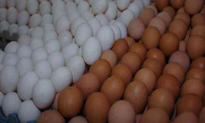 Os ovos so a atrao para quem frequenta academias por causa de suas protenas (foto: Juarez Rodrigues)