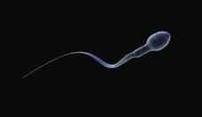 Homens: 5 motivos por trs da queda na contagem dos espermatozoides