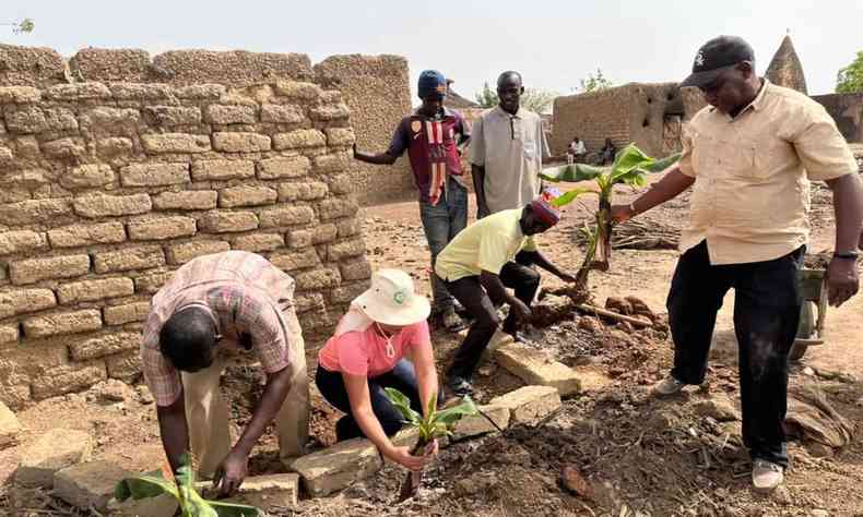 Professores e cidados de Mali plantam algodo 