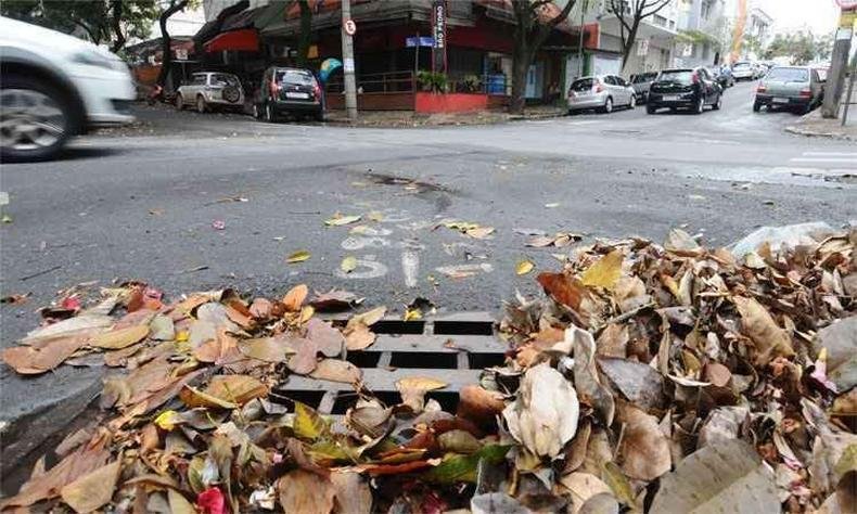 Acúmulo de folhas nas ruas aumenta riscos de alagamentos em BH(foto: Euler Junior/EM/D.A Press) Acúmulo de folhas nas ruas aumenta riscos de alagamentos em BH(foto: Euler Junior/EM/D.A Press)