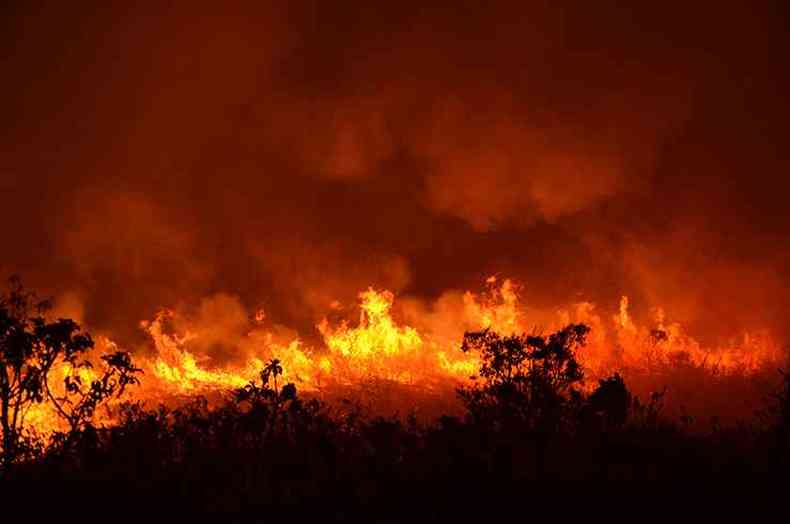 Fogo se alastra pelo Parque do Rola-Moa, na Grande BH(foto: Marcel Vasconcellos/Divulgacao)