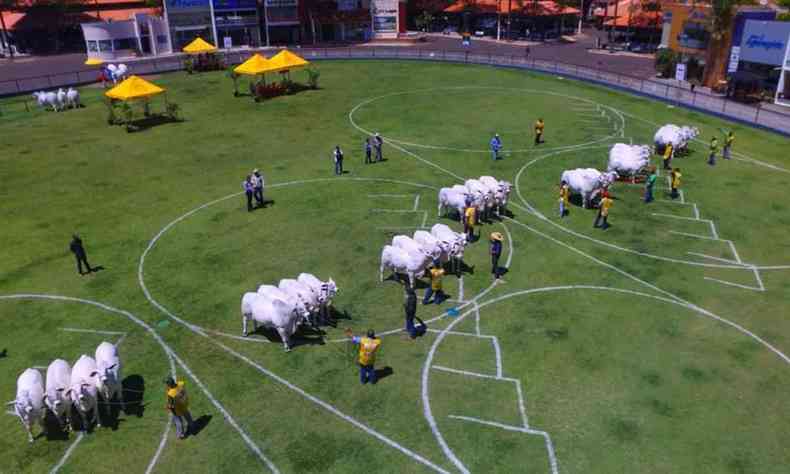 Pista de julgamento do Parque Fernando Costa, onde aconteceu durante a ExpoZebu 2022 vrias competies das raas zebunas
