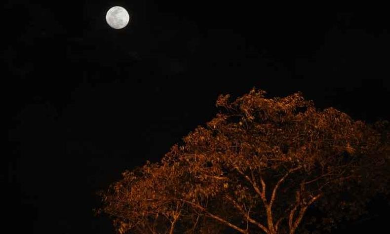 Aproxima��o da Lua em rela��o � Terra j� pode ser observada no s�bado, mas coincid�ncia dos fen�menos ter� seu ponto alto na noite deste domingo(foto: Leandro Couri/EM/D.A Press)