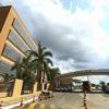 Anvisa autoriza fabricação de novo medicamento à base de cannabis