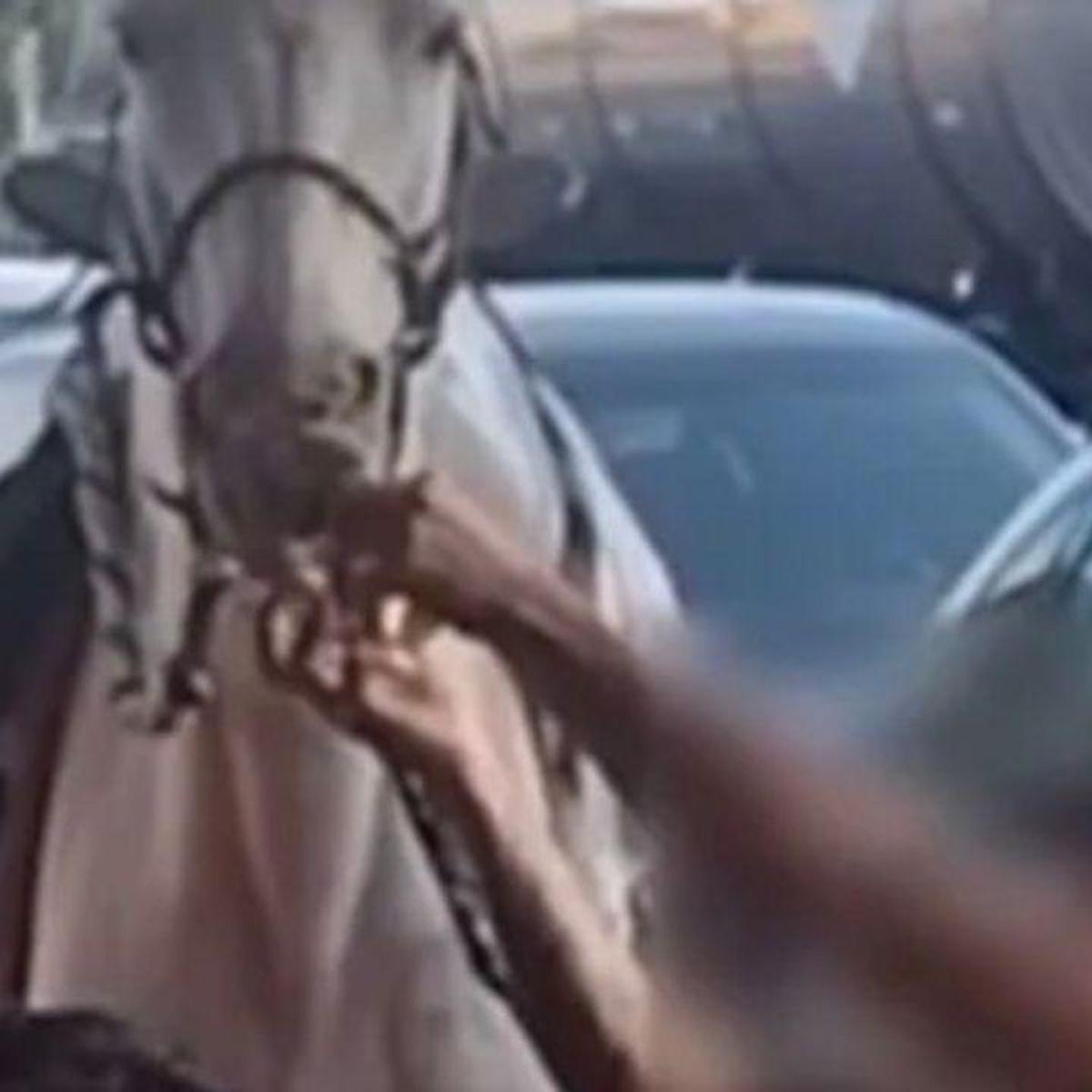 Mulherdando pro cavalo