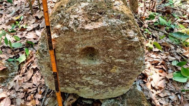 Coluna de pedra na floresta