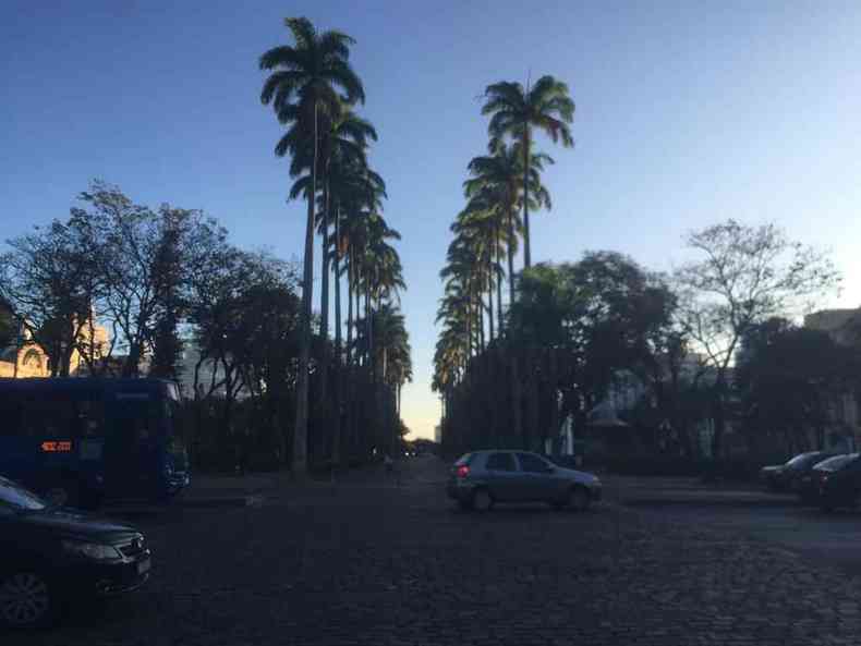Cu azul na Praa da Liberdade, em BH, com rvores e coqueiros no centro da imagem, rua com carros em primeiro plano
