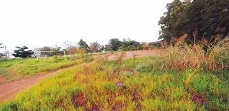 Centro de comando ser� constru�do em terreno no Bairro Gameleira(foto: Gladyston Rodrigues/EM/D.A Press)
