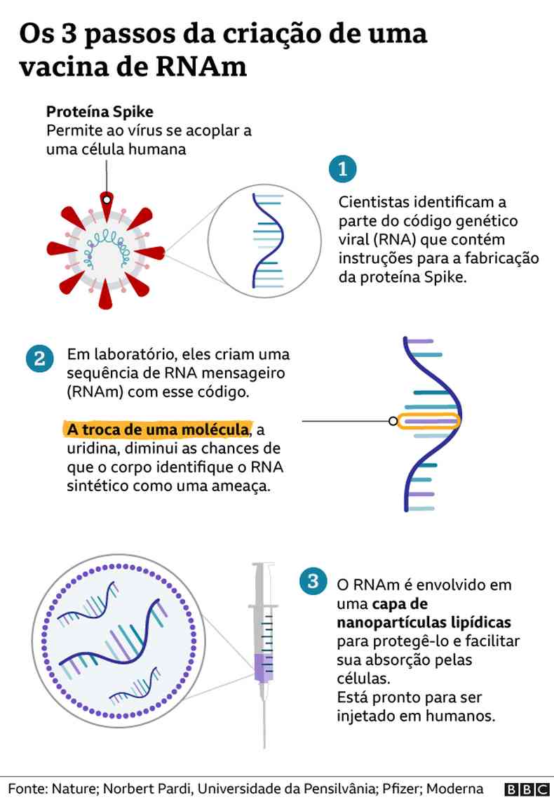 Grfico mostra os trs passos para criao de uma vacina de RNA mensageiro