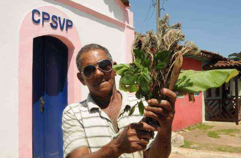 Joo Fernandes Martins, de 68 anos, mostra uma de suas ervas(foto: Tulio Santos/EM/D.A Press.)