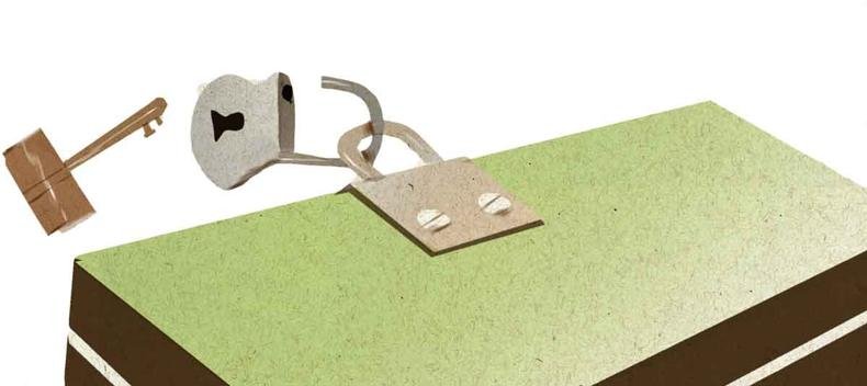 ilustração pata artigo