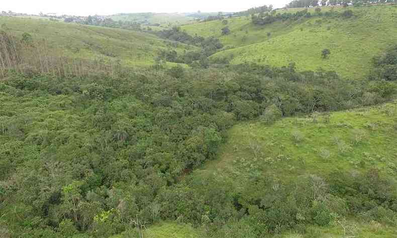 Imagem de drone mostra rea em torno da fazenda, onde a criana  procurada(foto: Reinaldo Clorinda/TV Bambu)