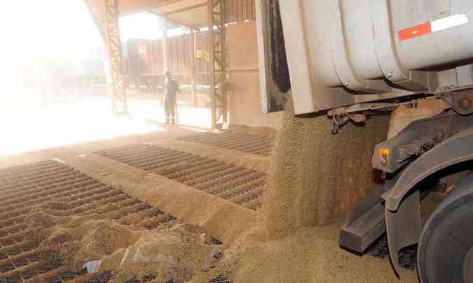 Alta produtividade da soja foi o principal responsvel pelo resultado do setor agrcola no primeiro trimestre deste ano(foto: Gladyston Rodrigues/EM/D.A Press - 27/4/11)