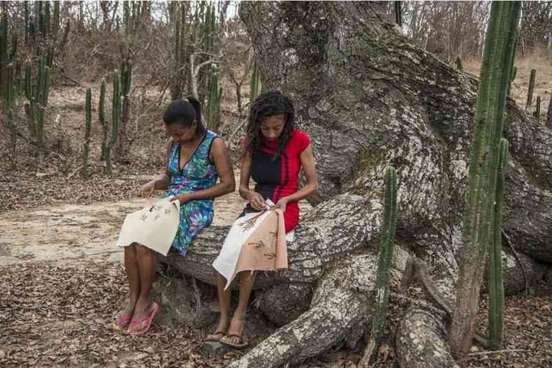 Integrantes do grupo Bordadeiras do Curtume bordam sentadas sobre razes de rvores