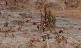 Lama que vazou da barragem destruiu o distrito de Bento Rodrigues, de onde bombeiros resgataram feridos(foto: Jair Amaral/EM/D.A Press )