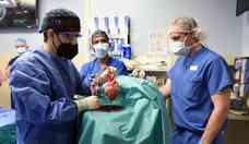 Em procedimento indito, homem recebe transplante de corao de porco 