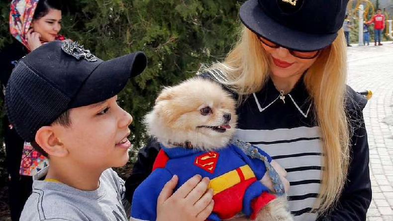 Famlia iraniana com um cachorro vestido de Super Homem
