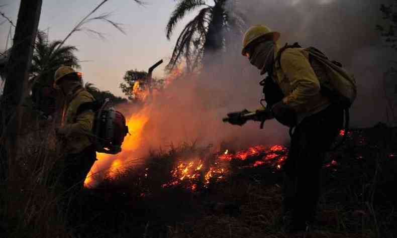 Houve registro de 56% mais incndios florestais em maio deste ano em comparao com o mesmo perodo de 2019 (foto: Semad/Divulgao)