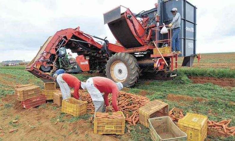 O mercado de m�quinas agr�colas tem se mantido na m�dia de R$ 13 bilh�es de faturamento ao ano desde 2014, de acordo com a Abimaq(foto: Beto Novaes/EM/D.A PRESS 6/11/14)
