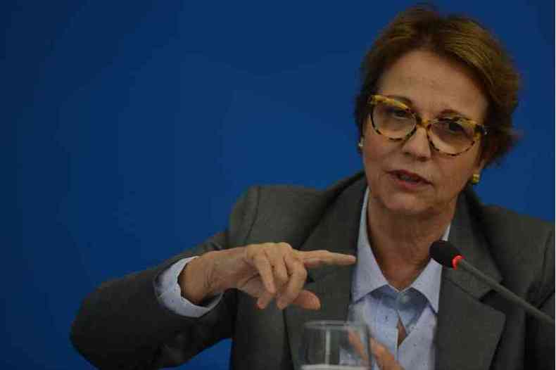 M relao de Bolsonaro com o DEM deixa ameaada posio da ministra(foto: Marcello Casal Jr./Agncia Brasil )