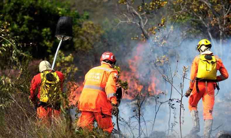 Bombeiros receberam mais de 300 chamados em 48 horas para incêndios em vegetação(foto: Leandro Couri/EM/D.A Press)