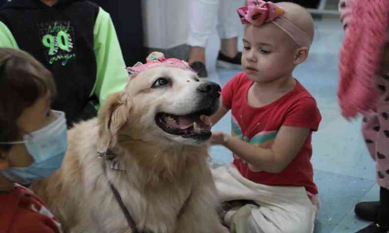 menina brincando com cadela