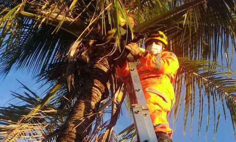 (foto: Corpo de Bombeiros/ Divulgao)