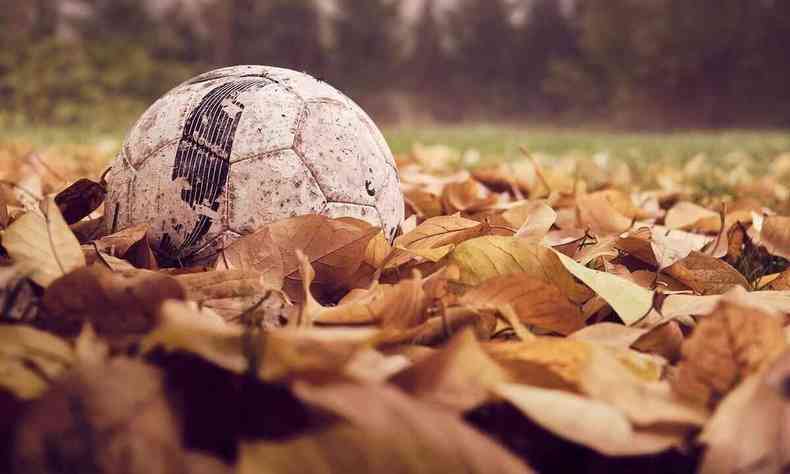 Bola de futebol entre folhas