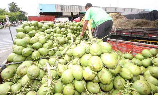 Na Ceasa/Minas, os cocos tiveram valorizao de 8,05% no ano passado. Mas a maioria dos frutos ainda vem da Bahia(foto: Edsio Ferreira/EM/D.A Press)