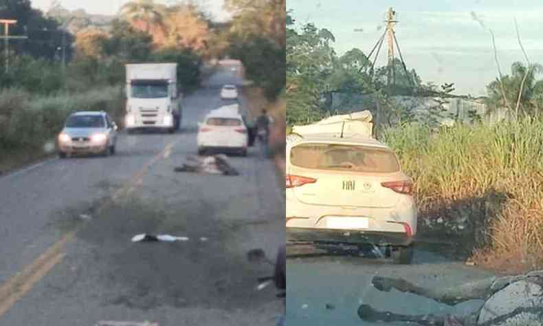 Atropelamentos de animais aconteceram na rodovia MG-238