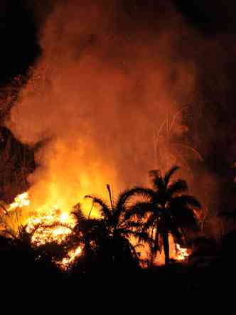 Dia 9, as chamas tomaram parte do Parque Estadual Serra Verde, na Regio Norte de Belo Horizonte