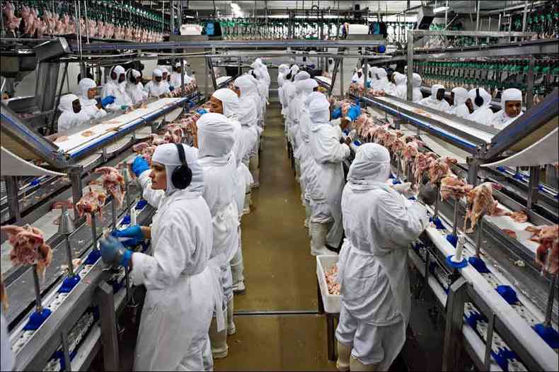 Fbrica da PIF PAF, em Visconde do Rio Branco, dever aumentar as exportaes de cortes de frango para o Vietn(foto: Mario Castello/Esp. EM/D.A Press - 2013 24/10/11)