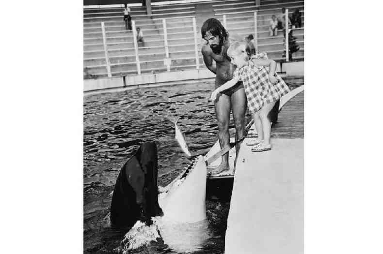 Foto em preto e branco mostra criana jogando peixe para a baleia