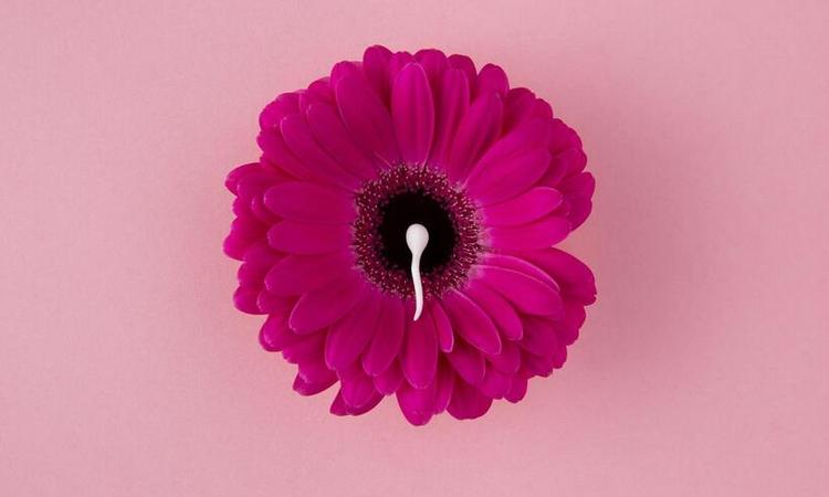 espermatozoides planos e flor rosa