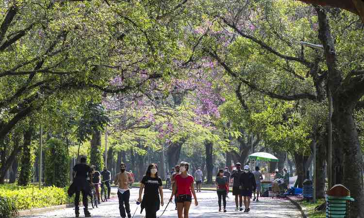 Pessoal passeando no Parque Ibirapuera