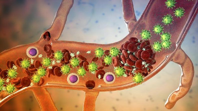 (foto: Getty) Coronavirus en la sangre