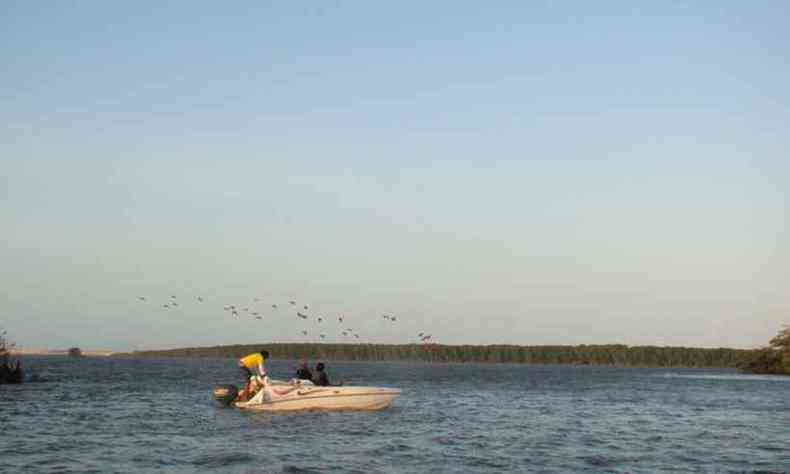 Delta do Parnaba conta com rica biodiversidade; na foto, revoada de guars vermelhos(foto: Alfredo Dures/EM/D.A Press - 11/2012)