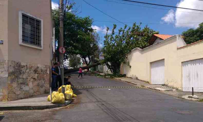 (foto: Defesa Civil/Divulgao)